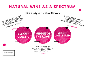 Natural Wine as A Spectrum Explainer from Whit + Wine