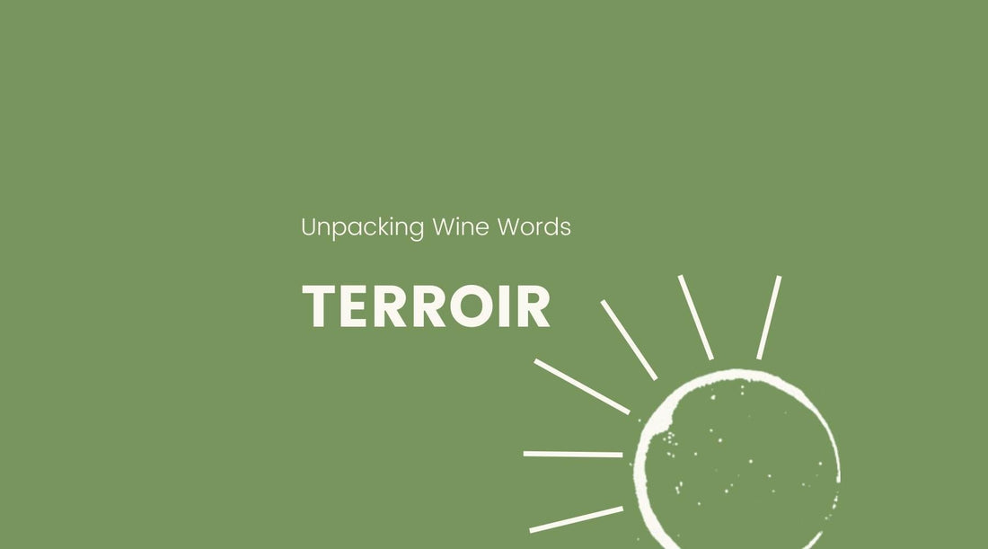 Unpacking Wine Words: Terroir - Crushed Wines