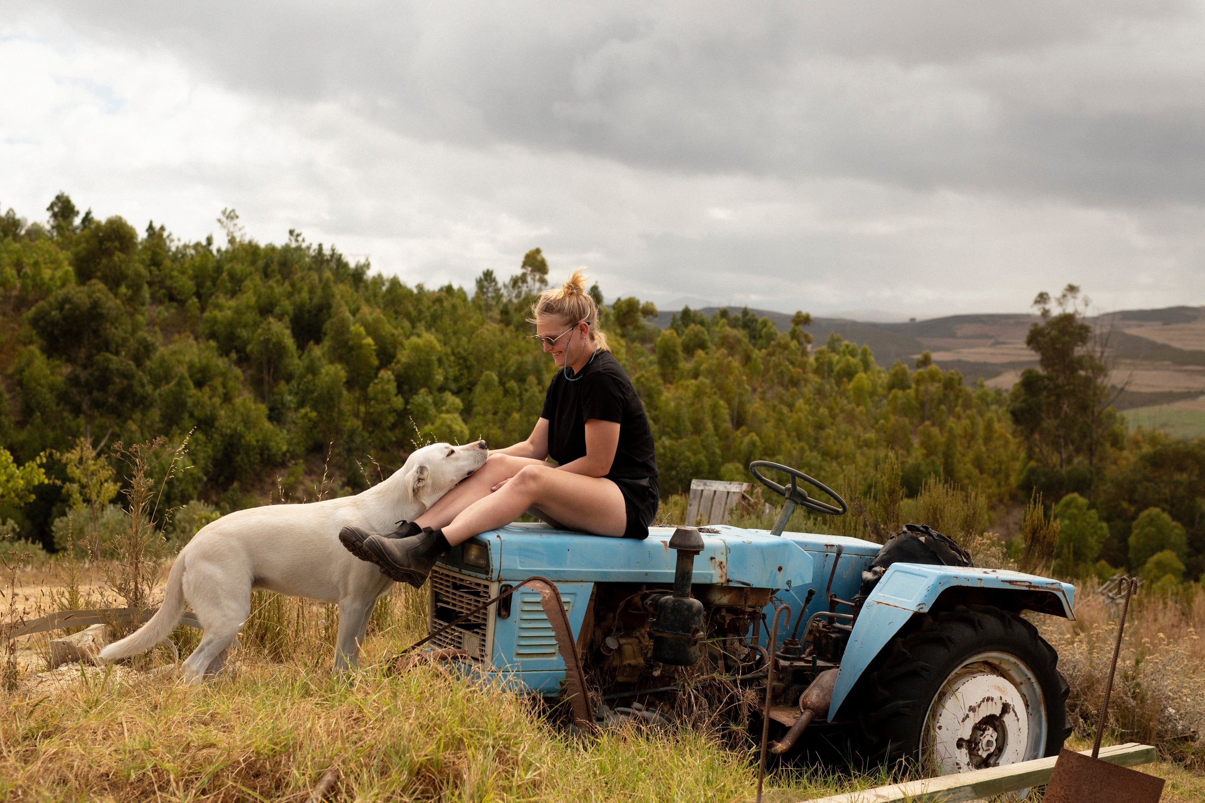 Ali in Wonderfuland - Crushed Wines