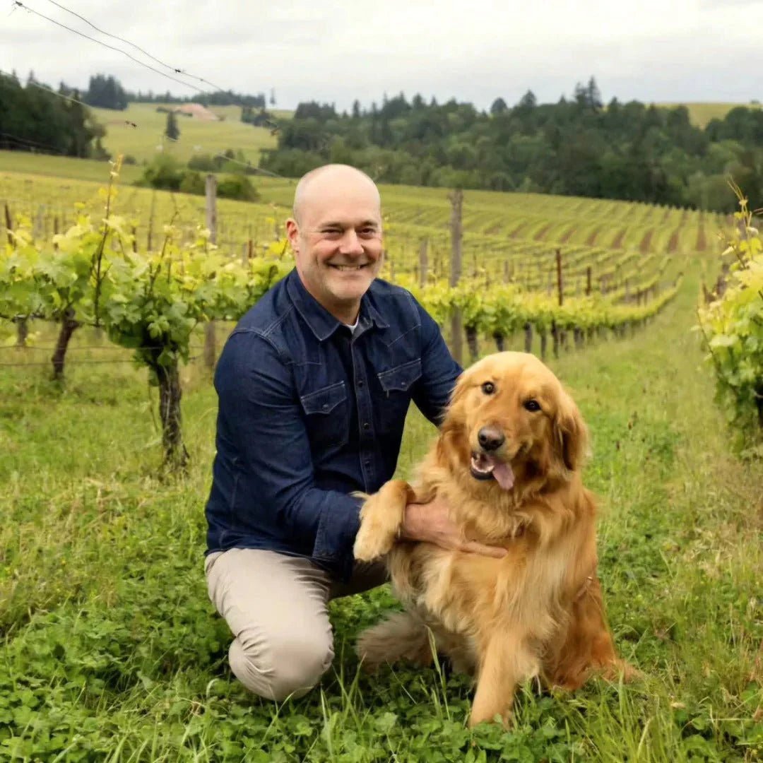 Evolution - Crushed Wines