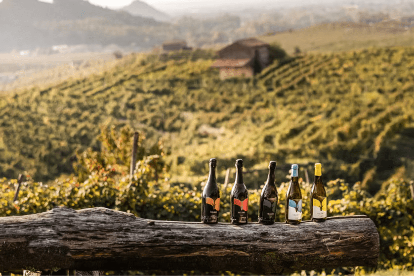 Francesco Follador - Crushed Wines