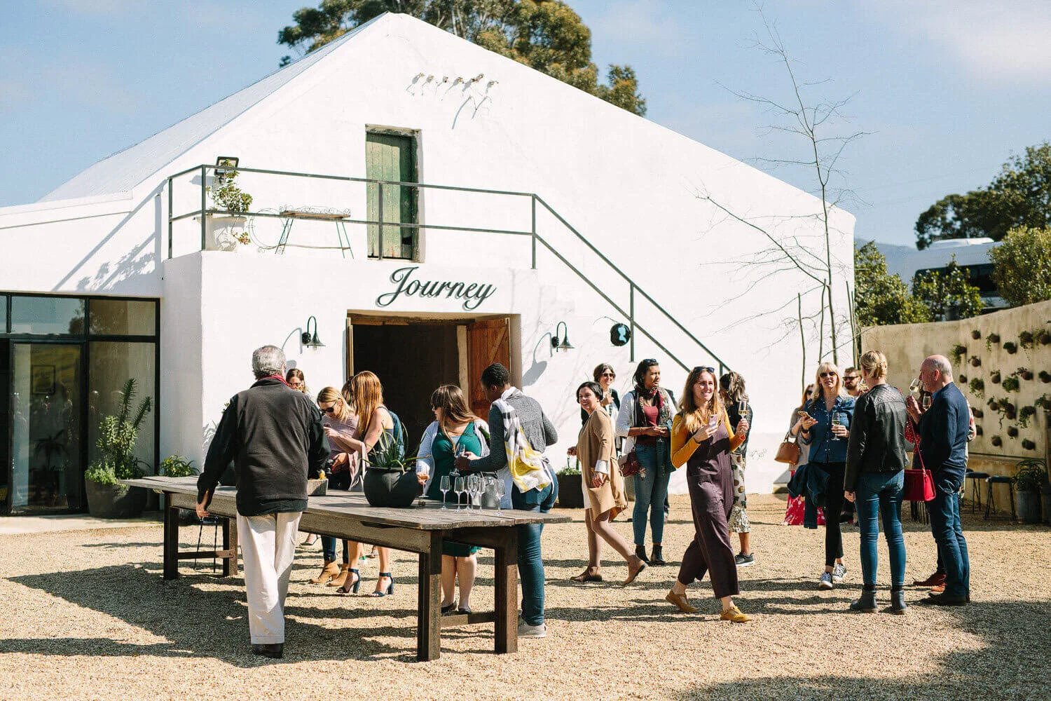 Genevieve - Crushed Wines