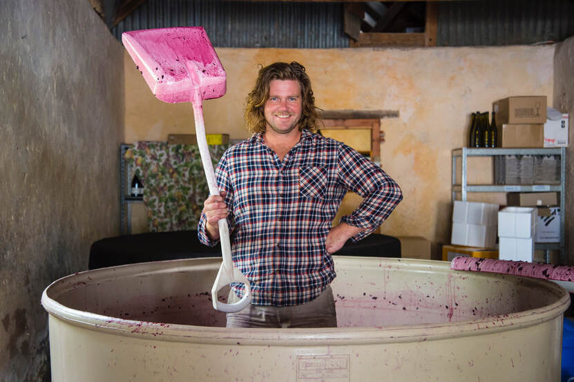 Harrison Wines - Crushed Wines