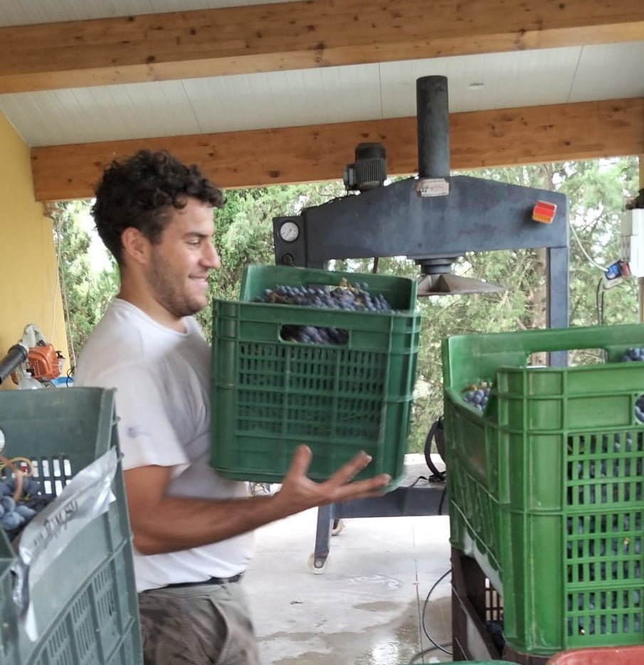 Ottomani - Crushed Wines