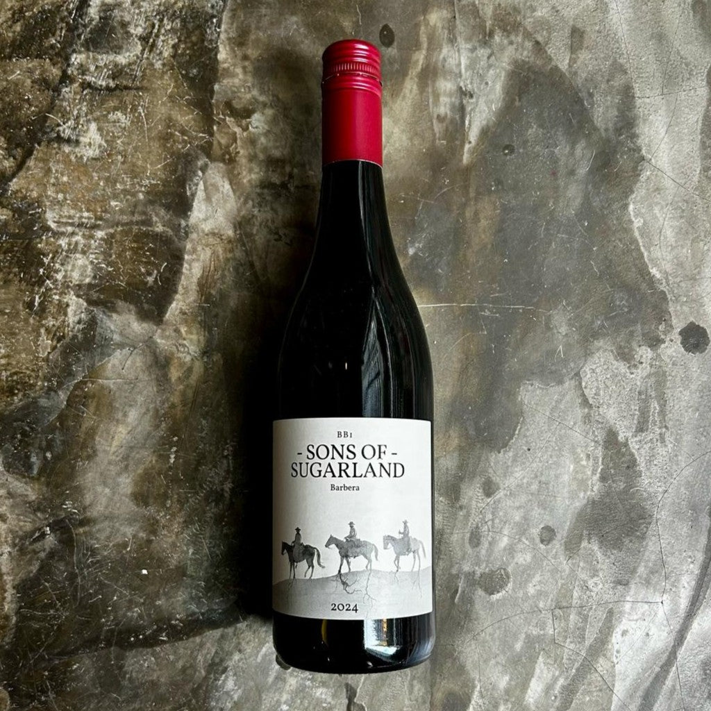Sons of Sugarland Barbera on concrete floor